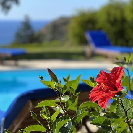 Anemos, Spartia, Kefalonia Вилла