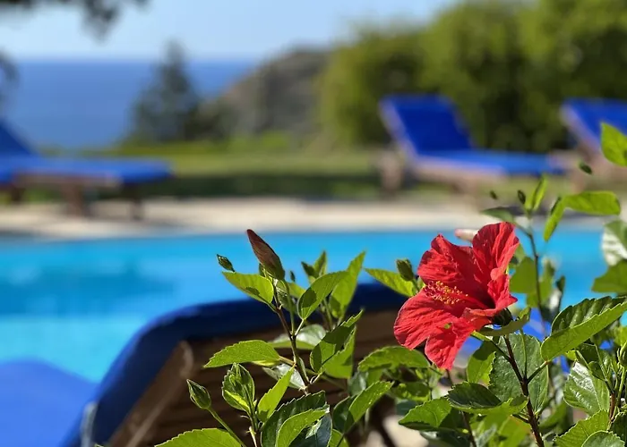 Anemos, Spartia, Kefalonia Villa